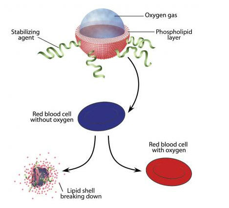 injected oxygen microparticle schematic